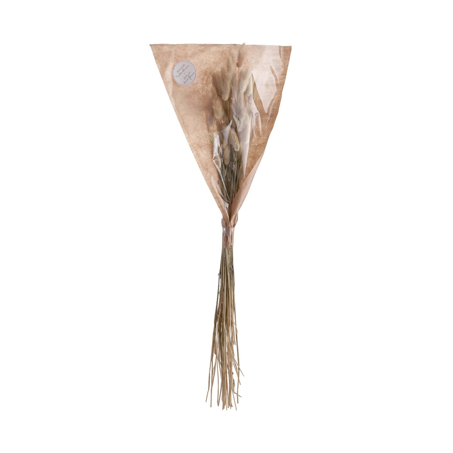 2x Trockenblumen Lagurusgras Länge 70cm FLOWER MARKET In Natur 3 2x Trockenblumen Lagurusgras Länge 70cm FLOWER MARKET In Natur – Bild 3