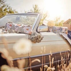 Picknickdecke L 175 X B 154cm BETWEEN FLOWERS In Dunkelblau 19 Picknickdecke L 175 X B 154cm BETWEEN FLOWERS In Dunkelblau -Butlers butlers picknickdecke l 175 x b 154cm between flowers in dunkelblau 9